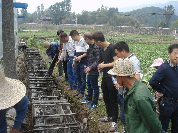 综合开发土地治理大湖镇4500亩益溪流域高标准农田建设项目进展顺利