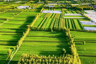 东海县 为守住全国万吨大粮仓发力 3年整治出高效农田17万亩