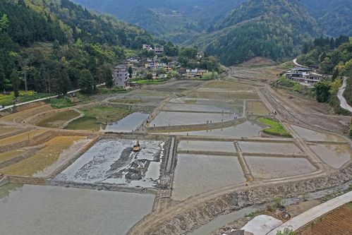 重庆彭水 农田宜机化整治改造 打造多元化发展的农旅融合产业示范基地凤凰网川渝