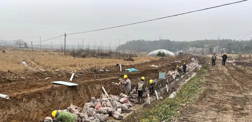 涓桥镇加快高标准农田建设